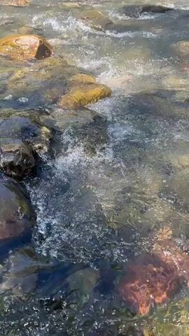A close-up video shows a rocky stream with clear, shallow water flowing over smooth, rounded rocks of various sizes and colors, including brown, gray, and orange. The sunlight reflects off the water's surface, creating bright highlights and shimmering patterns. Some rocks are partially submerged, while others are exposed. The water appears to be moving at a moderate pace, with small ripples and splashes around the rocks. The overall impression is one of a natural, serene environment.