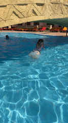 Family vacation moments captured at Egyptian resort morning