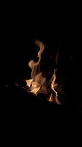 A close-up shot focuses on a small campfire burning in darkness. The flames are a mix of orange, yellow, and white, flickering and dancing. The embers glow red beneath the flames, nestled amongst dark logs. The background is entirely black, emphasizing the fire's light.