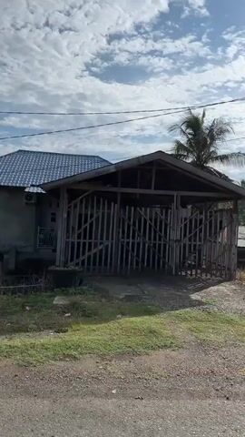 A video shows a rural landscape. In the foreground, a paved road runs along the bottom of the frame. To the left, a building with a blue roof and wooden walls is partially visible. Next to it is a smaller, dilapidated structure with a tin roof. A tall palm tree stands behind these buildings, with a dense green bush in front of it. Further back, more palm trees and lush vegetation are visible under a cloudy sky. The camera pans to the right, revealing more of the overgrown vegetation and a variety of structures, including what appears to be a more modern building with a corrugated metal roof and a white fence. Another small building with a red roof is also visible. The scene is characterized by the presence of buildings, vegetation, and a road, suggesting a village or rural setting.