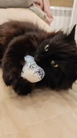 A black cat is lying on its side on a beige surface, possibly a bed. The cat is holding a plush toy that resembles a fish or sea creature in its paws and is biting it. The cat's eyes are open and it is looking towards the camera. The background is blurred but appears to be an indoor setting with furniture and possibly a radiator.