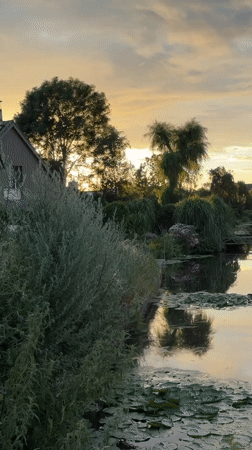 Dusk reflections on a lily pad canal in Rijpwetering