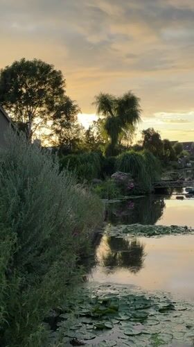 Dusk reflections on a lily pad canal in Rijpwetering