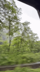 Motorist films lush forest and rock formations in Wulingyuan