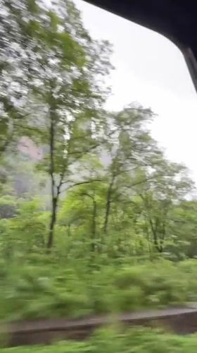 Motorist films lush forest and rock formations in Wulingyuan