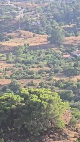 The video pans across a lush, green hillside dotted with trees, bushes, and a few scattered houses. The terrain is uneven, with slopes and valleys covered in vegetation. In the distance, a town or city can be seen sprawling across rolling hills. The sunlight suggests it is daytime. There are no people or animals visible.