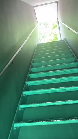 The video begins by showing a metallic staircase leading upwards towards a bright light, suggesting an exit or an open space. The walls of the staircase are a muted green. As the camera moves up the stairs, the scene transitions to an underwater view. A school of small, silvery fish swims through clear, turquoise water. The underwater scene is calm and serene. There is no visible text in the video. The overall impression is one of transition from an enclosed, man-made environment to a natural, aquatic one. The time of day and weather are not explicitly discernible, but the bright light at the top of the stairs could indicate daytime. The location context of Zug, Switzerland, does not offer specific visual cues within the provided frames, but the combination of man-made structures and aquatic life is plausible for the region.