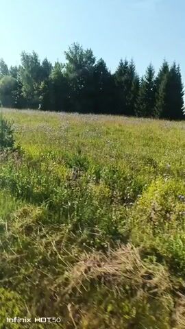 The video shows a field of green grass and wildflowers, with a line of trees in the background. The camera appears to be moving, possibly from inside a vehicle, as indicated by the slight blur and the timestamp overlay. The sky is clear and blue, suggesting it is a sunny day. There are no people or animals visible in the frame. The overall scene is one of a rural landscape in daylight.