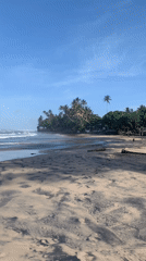 Tropical beach documented during daylight hours June 9