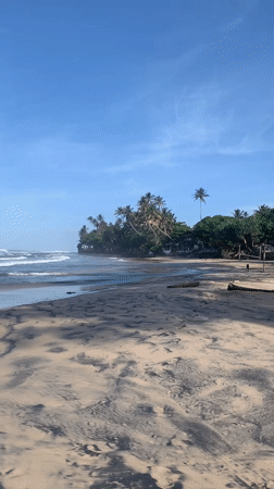 Tropical beach documented during daylight hours June 9