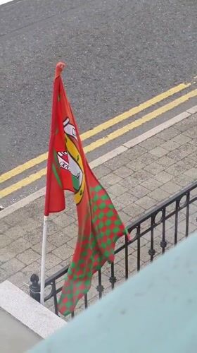 Swan-crested flags flying in Claremorris, Ireland