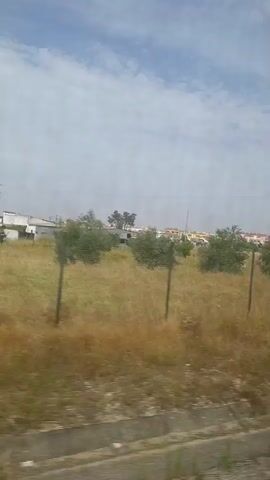 This media file captures a scenic view from a moving vehicle, likely a train, passing through a rural or semi-urban area in Pinhal Novo, Portugal. The scene unfolds under a bright, partially cloudy sky, suggesting it is daytime.

The foreground is dominated by a dry, grassy field, with several thin, vertical posts from a fence interspersed across it. Two small, leafy trees stand in the middle ground, adding touches of green to the otherwise golden-brown landscape. Beyond the field, a line of buildings with reddish-tiled roofs forms a distant settlement, hinting at a town or village. The architecture suggests a Mediterranean or European style.

In the latter part of the clip, a dense growth of tall, green reeds or similar vegetation appears on the right side, partially obscuring the view of the buildings and the field. This suggests a transition in the landscape as the vehicle continues its journey.

The overall impression is one of a peaceful, sunny day, with the characteristic scenery of the Portuguese countryside. There are no people or specific objects that stand out prominently, making the landscape itself the primary subject. The activity is simply the passage through this environment, a visual journey documented by the camera. No text is visible in the media file.