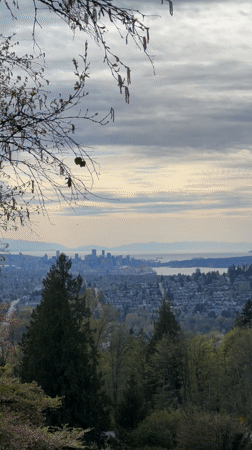 Evening scenes captured across Burnaby parks and viewpoints