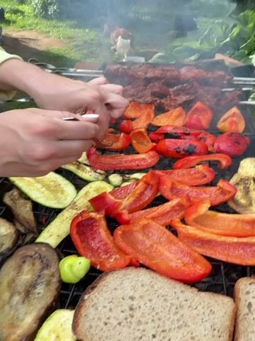 The video shows a close-up of a grill with various food items being cooked. In the foreground, there are slices of red bell pepper and zucchini. A hand with a fork is seen poking at a piece of bell pepper. To the left, more zucchini slices and a slice of eggplant are visible. In the background, meat skewers are grilling, and a person in a yellow top is tending to the food. Another person, an older man, is standing behind them, looking at the grill. A dog is visible in the background, on the grass. The environment appears to be an outdoor setting with greenery and a wooden fence. The overall scene depicts a barbecue or outdoor cooking event.