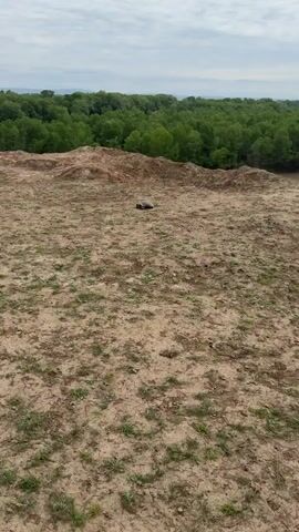 The video opens with a wide shot of a dry, cracked dirt landscape, dotted with sparse green vegetation. In the distance, mounds of earth are visible, followed by a dense forest of vibrant green trees, and a murky body of water. The sky is overcast. As the camera slowly zooms in, a medium-sized, dark-shelled turtle (likely a tortoise) becomes the central focus, resting motionless on the cracked earth. The surrounding area appears barren, with only small tufts of grass and weeds. The scene suggests a natural, outdoor environment, possibly a riverbank or recently disturbed land adjacent to a forested area.