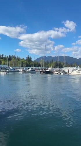 Evening documentation of Vancouver's Coal Harbour marina and waterfront