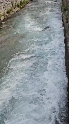 A fast-flowing river rushes through a town, its water churning white as it flows between stone walls. Buildings and trees line the banks of the river, with a mountain covered in dense forest visible in the background. The sky is overcast.