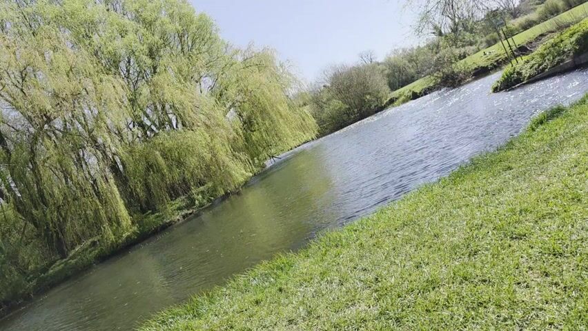 The video shows a river from an angle, with a line of willow trees with light green leaves on the left bank. On the right bank, there's a stretch of vibrant green grass. The river is flowing with visible ripples on the surface. In the distance, there are more trees and vegetation, and the sky is a light blue. The video seems to have been taken on a clear, sunny day.