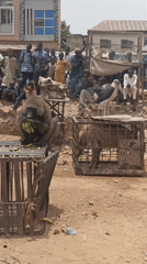 Caged animals draw crowds at Gawuna marketplace