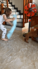 Morning slice of life: child, dog, pigeon in Vietnamese neighborhood