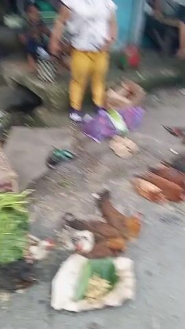 The video shows a street scene with several chickens lying on the ground, some on a white cloth. A woman is standing in the center of the frame, wearing a white top and yellow pants. She is holding a bag and a purse. In the background, other people are visible, as well as some boxes and baskets. The ground is paved and appears to be wet in some areas. The overall impression is of an outdoor market or street vendor setting.