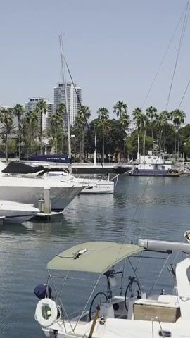 The video shows a marina on a sunny day. Several sailboats are docked in the water, with some buildings and palm trees visible in the background. The water is calm, and the sky is clear. The camera is positioned at eye level, looking out over the marina. The video is short, lasting only a few seconds, and there is no sound.