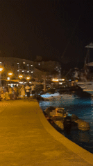 Evening marina activity and nature observed in Tivat, Montenegro