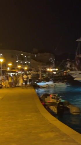 Evening marina activity and nature observed in Tivat, Montenegro