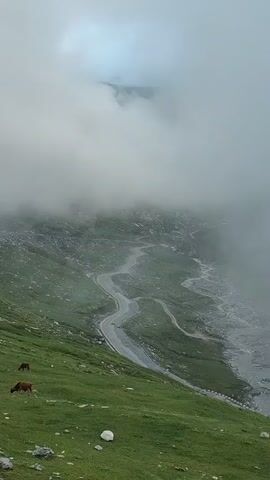 The video shows a winding mountain road through a misty, green landscape. Several cows are grazing on the grassy slopes. A river runs alongside the road, and a bridge is visible in the distance. The overall atmosphere is serene and slightly mysterious due to the fog.