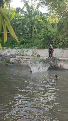 A group of young people are playing in a river on a sunny day. Some are swimming while others stand on a rocky outcrop, with one person in the process of jumping into the water. Dense green foliage and palm trees surround the river, creating a natural backdrop. The water appears somewhat murky, and there is some debris visible along the riverbank.