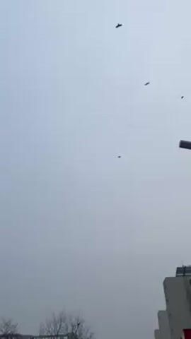 The video shows a cloudy sky over an urban environment. Several birds are flying in the sky. The camera pans slightly, revealing buildings, a street lamp, and trees in the background. The sky appears overcast and grey.