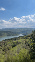 Scenic lake view documented in Bulgarian countryside