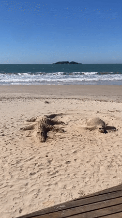 Tourist captures coastal art and beach life in Florianópolis