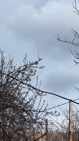 Air raid alarm documented in Ukrainian village amid spring blooms