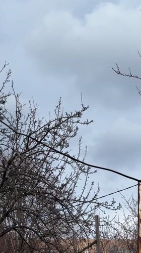 Air raid alarm documented in Ukrainian village amid spring blooms