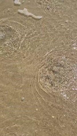 This short video captures a close-up view of shallow, clear water moving over a sandy or gravelly seabed. The water is agitated, creating ripples and numerous small bubbles that rise to the surface. Sunlight glints off the water's surface, highlighting the movement and texture. Tiny shells and small stones are visible beneath the water.

The scene appears to be a natural body of water, likely a beach or shallow coastal area, given the sandy bottom and the clarity of the water. The movement of the water suggests a gentle current or perhaps the disturbance caused by something just out of frame, like a small wave or activity beneath the surface. The lighting implies it is daytime, with the sun providing a bright, natural illumination. The overall impression is one of a serene, natural environment, focusing on the dynamic interaction of water and seabed. There are no people or distinct objects other than the natural elements of the seabed. No text is visible in the media. The location context of Torreira, Portugal, suggests this could be a view of the Atlantic coast or a lagoon in that area.