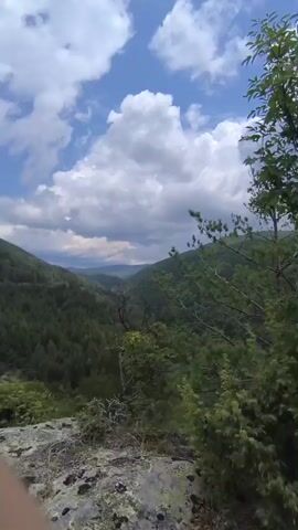 The video begins with a close-up of a leafy green tree and foliage, then pans to reveal a rocky cliff edge with several pine trees. A wooden fence lines the edge of the cliff. The camera continues to move, showing a wider view of the rocky terrain, the trees, and the distant landscape under a cloudy sky. The final shot shows a person standing at the edge of the cliff, looking out at the view.