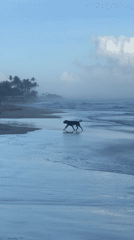 Coastal moments documented along Sri Lanka's southern shore