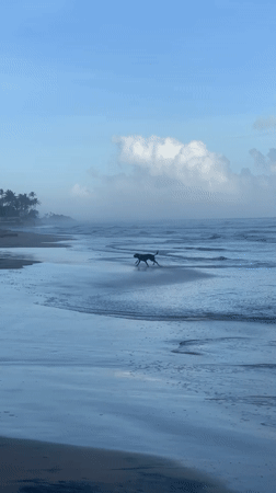 Coastal moments documented along Sri Lanka's southern shore