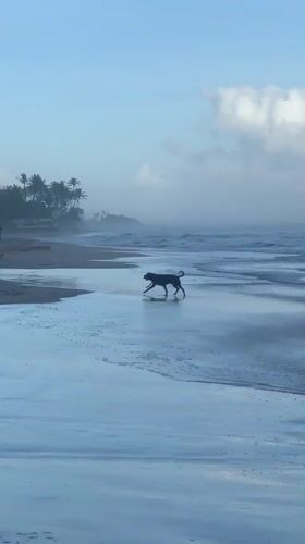 Coastal moments documented along Sri Lanka's southern shore