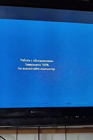 A computer screen displays a blue background with white text and a spinning progress indicator. The text reads "Работа с обновлениями" which translates to "Working with updates". Below that, it says "Завершено: 100%" meaning "Completed: 100%". Finally, it says "Не выключайте компьютер" which translates to "Do not turn off the computer." The progress indicator shows a series of small white dots circling. A Sony logo is visible on the bottom bezel of the screen.