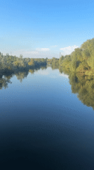 Summer afternoon along the riverbanks of Energetik, Russia