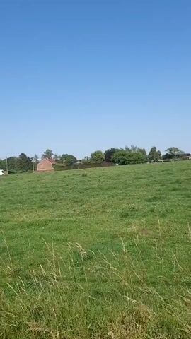 The video captures a rural landscape in Thuin, Belgium. The scene opens with a view of houses nestled amidst a green field under a clear blue sky, suggesting a sunny daytime. As the video progresses, the perspective shifts to a country road bordered by grassy fields and trees. Telephone poles and wires are visible, indicating a sparsely populated area. A prominent feature is a large, gnarled tree with bare branches, some of which show signs of pruning or damage. In the background, more fields and trees can be seen, reinforcing the bucolic setting. The weather appears to be pleasant, with ample sunlight illuminating the scene. The overall impression is one of peaceful, rural life, with a touch of natural decay represented by the old tree. There is no visible text in the video.
