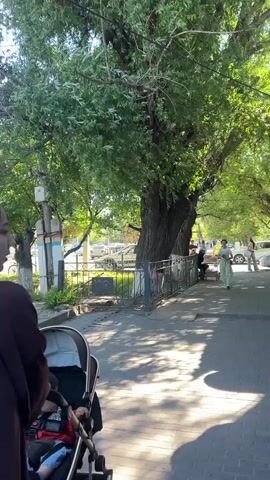 The video shows a street scene on a sunny day. A person is pushing a baby stroller along a sidewalk shaded by large trees. Other pedestrians are visible in the background, including a woman walking briskly towards the camera in a light green dress. Cars are parked along the side of the street, and a food vending stall is visible along the sidewalk.