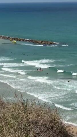 This is a high-angle, vertical video clip shot from a cliff overlooking the ocean. The scene is a beach with turquoise water and moderate waves. In the foreground, there are dry, leafy plants. The main subjects are several people engaged in water sports.

Most prominently, there are two individuals on a pink paddleboard in the middle of the frame. They are both standing and appear to be paddling or preparing to surf a wave. A third person is on a surfboard to the right of the paddleboard, in the water. Further out in the ocean, there are several other figures on surfboards, appearing as small dots in the distance, as well as a person swimming or wading near a breakwater. The breakwater, made of large rocks, is visible in the upper left of the frame, with a small boat nearby.

The activity is clearly recreational water sports, likely surfing and paddleboarding. The lighting suggests it is daytime, possibly late morning or early afternoon, with bright sunlight casting shadows and illuminating the water. The weather appears to be clear and sunny, with the ocean conditions suitable for these activities. The presence of a breakwater suggests this might be a popular beach area. There are no visible text elements in the video. The overall mood is one of leisure and active enjoyment of the ocean on a pleasant day.