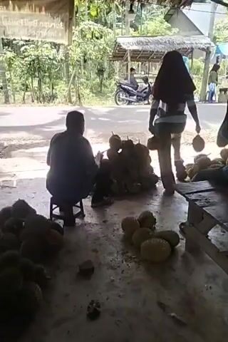 The video shows a scene in what appears to be an outdoor market or roadside stall, likely in a tropical region. In the foreground, numerous durian fruits are piled on the ground. A person, silhouetted and facing away from the camera, is seated on a small stool, appearing to be sorting or preparing the durians. To their right, a larger pile of durians is visible. Further in the background, a dirt or paved road runs horizontally. Two individuals are walking away from the camera on the road. Behind them, a motorcycle is parked under a small covered structure with a thatched roof. The environment is characterized by greenery, suggesting a rural or semi-rural setting. The lighting indicates it is daytime.