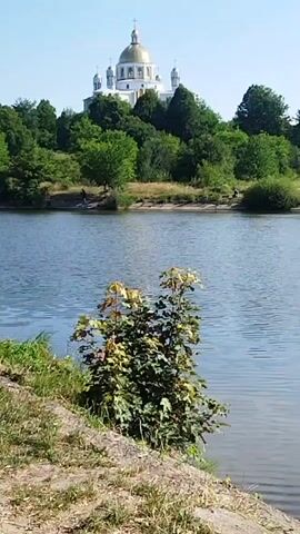 The video pans across a tranquil body of water, likely a lake or river, under a clear blue sky. On the far bank, a lush green forest covers a gentle slope. Atop the slope, a white domed building, possibly a church or cathedral with a golden dome, stands prominently amidst the trees. The water's surface is rippled, suggesting a light breeze. In the foreground, a small shrub with green and reddish-purple leaves grows near the water's edge, with a rocky, grassy bank visible. There appear to be two indistinct figures on the far bank, possibly individuals fishing or enjoying the scenery. The overall scene depicts a peaceful, natural environment with a notable architectural landmark in the background.