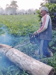Morning farm work and rural life in Padang Dalom, Indonesia