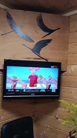 The video shows a television screen mounted on a wooden wall. The screen displays a cartoonish scene with a basketball court, a basketball hoop, and several animated figures. One figure, appearing to be a male wearing a red shirt and white shorts, stands in the center. Around him are several female figures, all wearing striped headbands and black high heels. The wall above the television has three stylized bird silhouettes. A black chair is partially visible in the lower left corner of the frame, and a leafy plant is on the right. The lower part of the television screen shows a banner with text and a QR code, as well as the brand name "VESTEL".