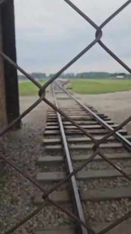 A video shows a chain-link fence in the foreground, obscuring a view of train tracks in the background. The tracks diverge into multiple paths, with gravel and railroad ties visible. Beyond the tracks, there is a grassy field and trees. In the distance, there are several figures who appear to be people walking. The sky is overcast. The video appears to have been taken from a static position, with no discernible movement of the camera.